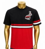 Psycho Bunny Carlo graphic tee (L)