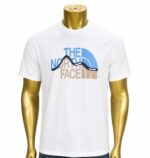 The North Face Mountain Line graphic t-shirt (XXL)